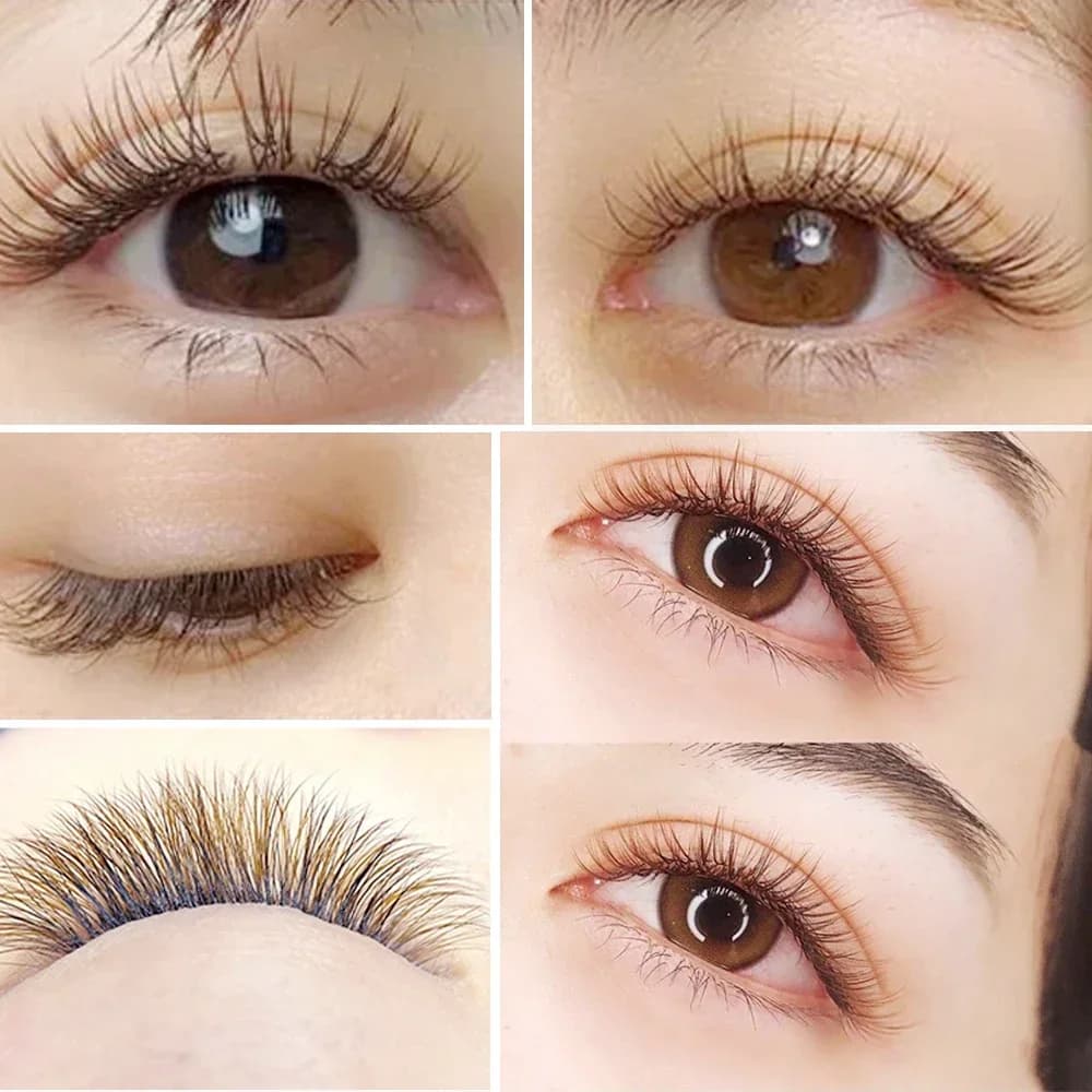 ריסים Flat Split-Tip Brown Ellipse B/C/D Curl 12 שורות