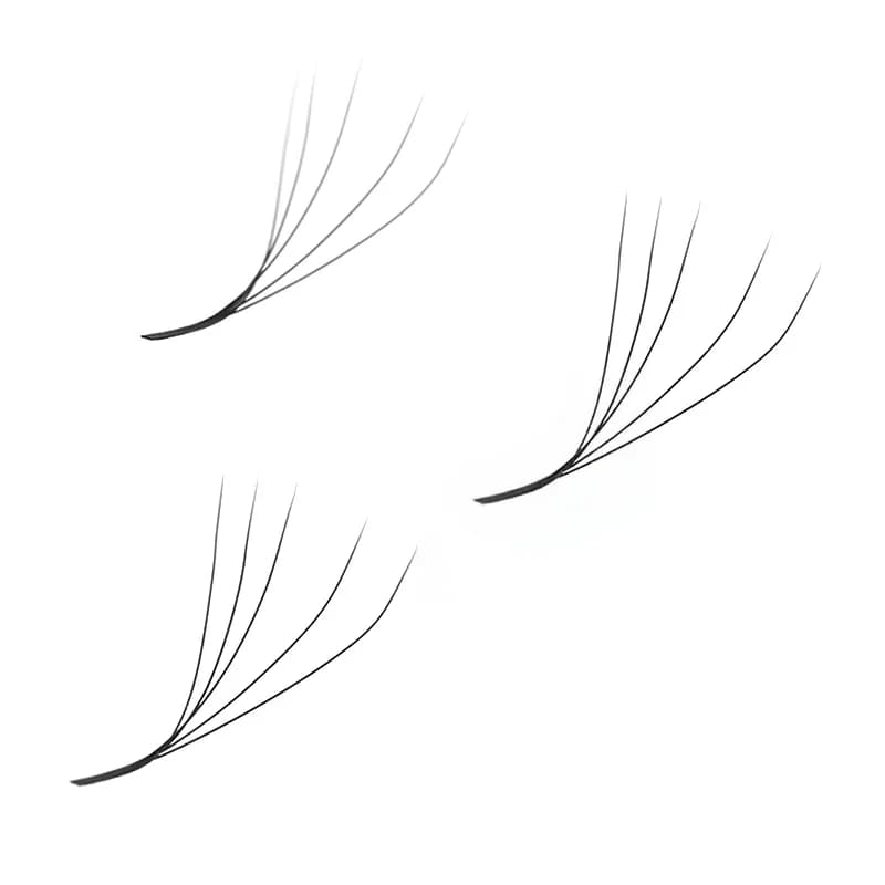 מניפות מוכנות צורת W נפח ענק 5D דחוס